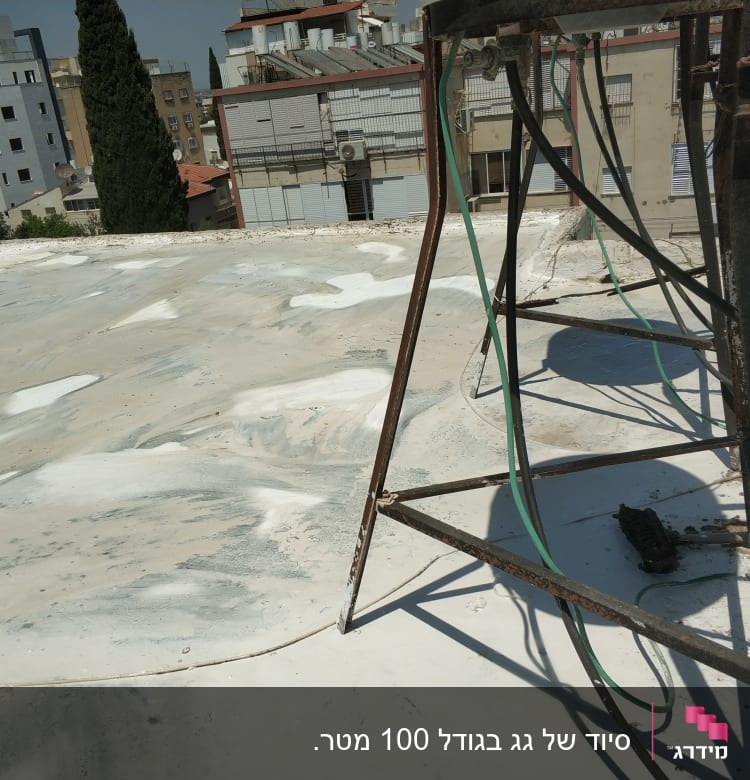 מיד לאחר הסיוד.